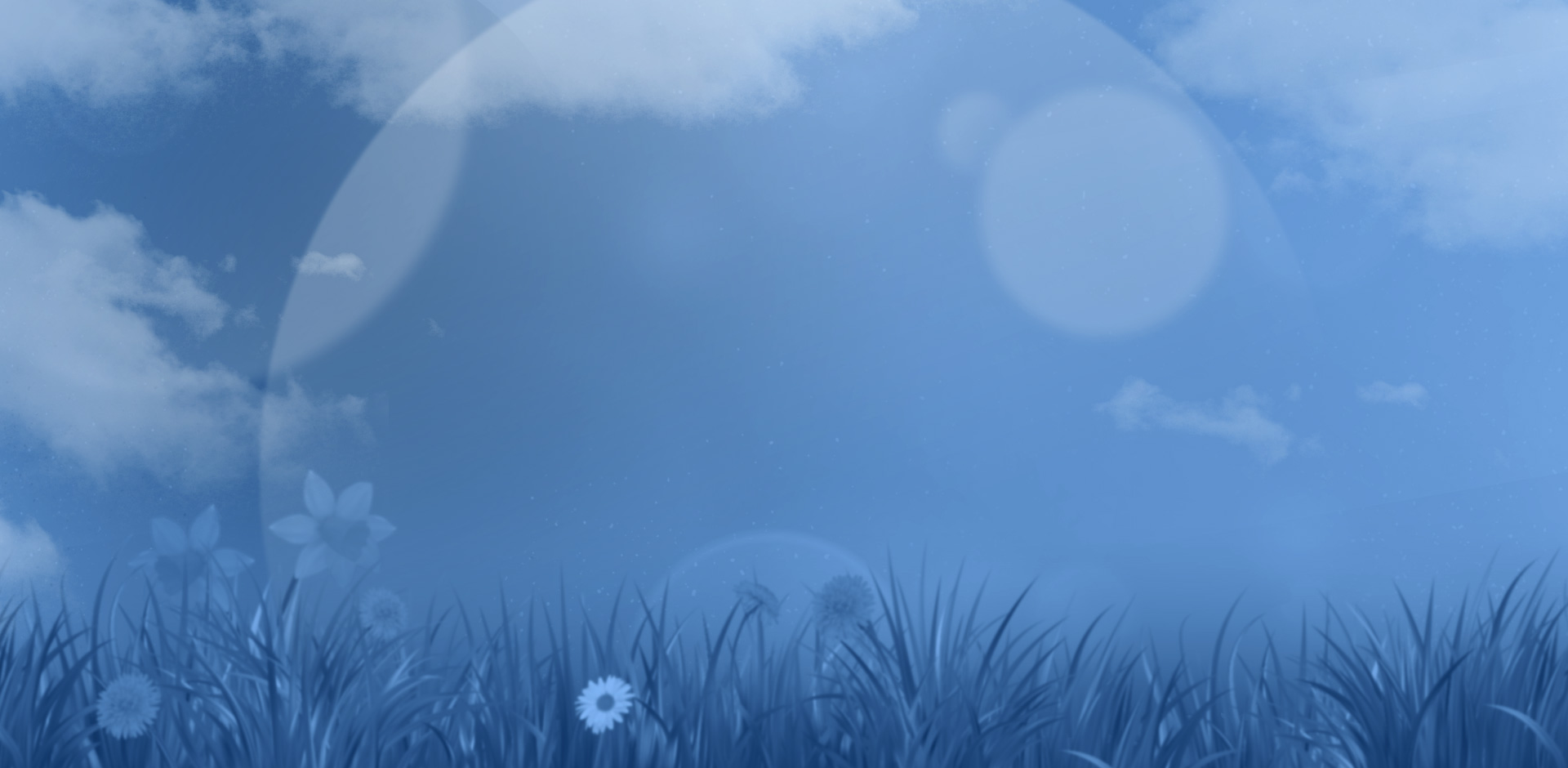 sunny springtime field